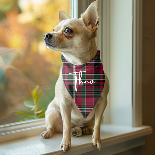 Dog or Cat pet collar wrap custom (your design)