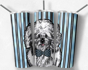 Bichon Frise Dog Male Stained Glass