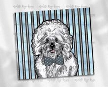 Load image into Gallery viewer, Bichon Frise Dog Male Stained Glass