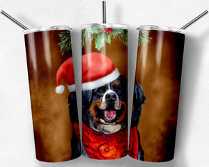 Christmas Bernese Mountain Dog