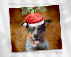 Christmas Blue Heeler