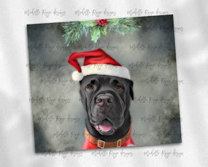 Christmas Cane Corso