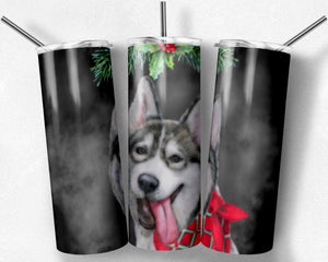 Christmas Husky