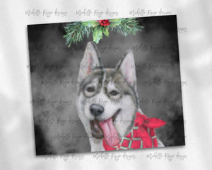 Christmas Husky