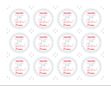 Load image into Gallery viewer, Valentine&#39;s Day Tags, Lip Balm Valentine Sticker, Printable You Are The Balm Valentine Label, Kids Valentines Day Tags, Classroom Valentine