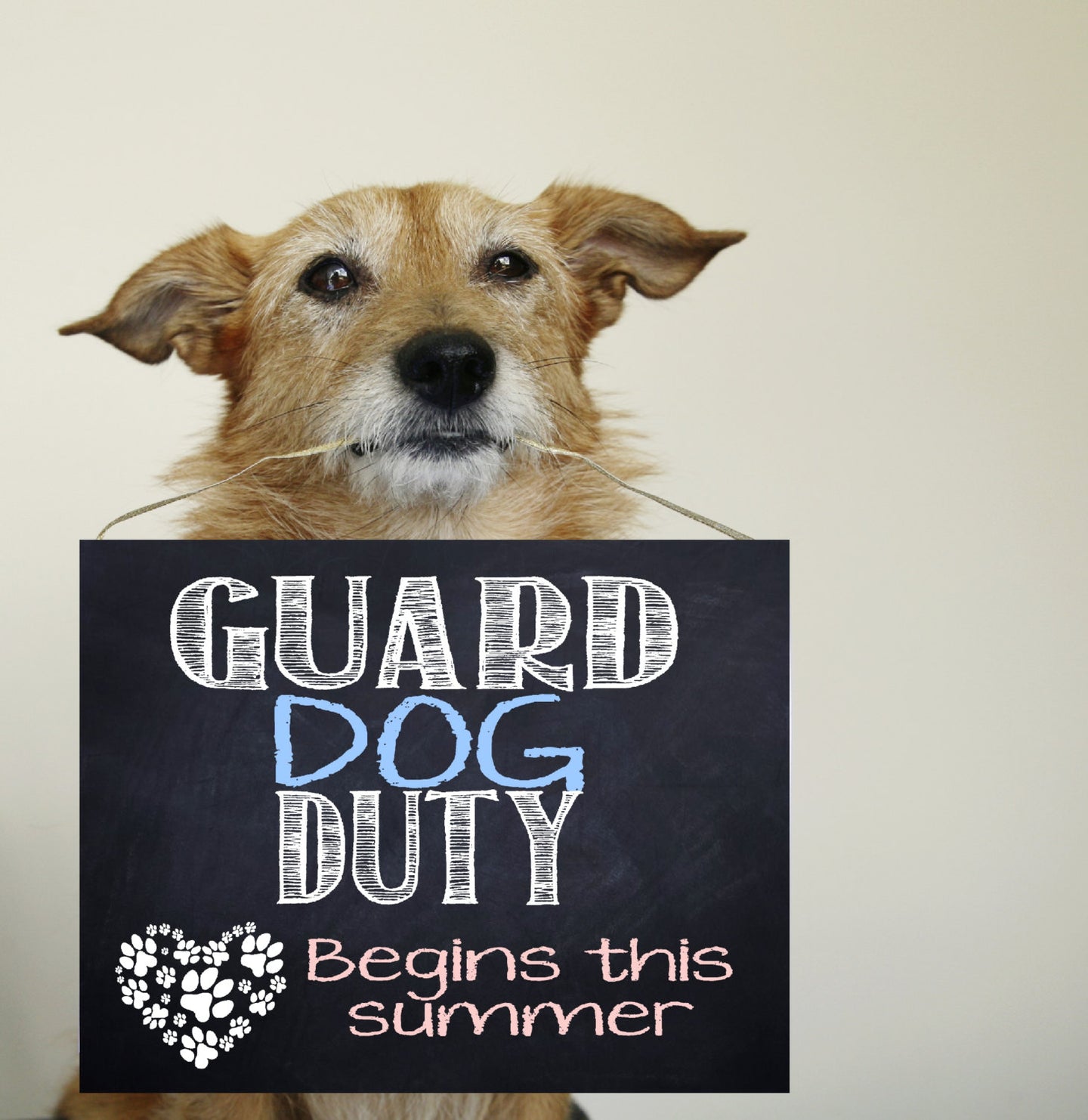 Guard dog on duty baby, expecting, pregnancy announcement, maternity, photo prop, chalk board,  sign,  puppy, surprise